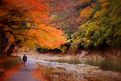 Kyoto autumn 2016