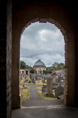 Brompton Cemetery - 05 July 2014