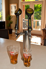 Squamish Livin and Beer Taps intall July 2014 