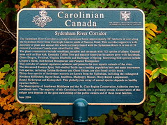 Carolinian Canada Sydenham River Corridor
