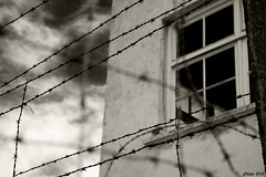 Dachau 10