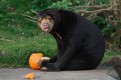 2016 - October Zoo Visit
