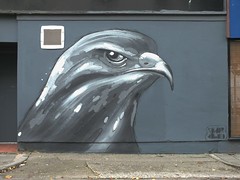 Empty Walls 2014: Colour Doomed buzzard