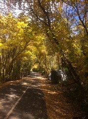 October 27, 2014 (Provo River Trail)