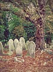 Oneplus One  -  Cemetery