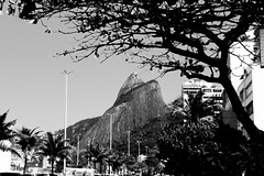 Rio de Janeiro 2014