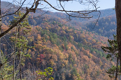 West Prong/Bote Mountain, Great Smoky Nat'l Park, TN 2014