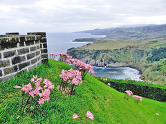  Portugal, les Açores, l'île de Sao Miguel