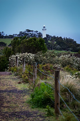 Tasmainian Lighthouse's