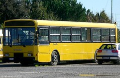 ATVO San Donà di Piave (VE) buses