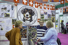 Discover Dogs 2014