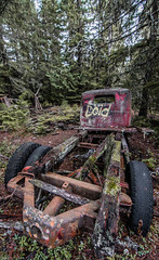 Rust in the Forest 2