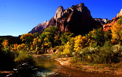Fall over the Years in Zion Nat'l ParK