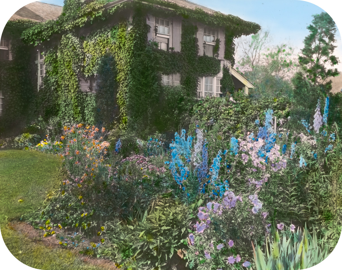 Dr. Frederick Kellogg Hollister house, Lily Pond Lane, East Hampton, New York. Delphiniums