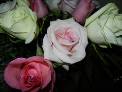 Birthday Rose Bouquet Oct.'14
