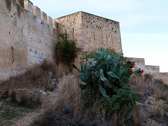 Castillo y conjunto monumental de Játiva