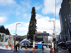 Montreal Ugly Christmas Tree