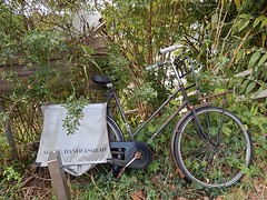 Bicycle Melding Into Vegetation
