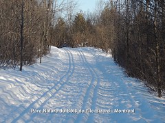 2013 03 Parc-nature du Bois-de-l'Île-Bizard - Montreal