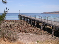 Kangaroo Island Nov 2009