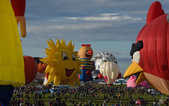 Albuquerque International Balloon Fiesta 2014