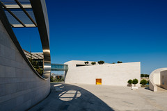 Champalimaud Center for the Unknown