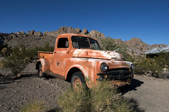 1952 Dodge Truck