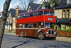 AEC buses, coaches and lorries