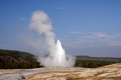 USA 2011 Yellowstone