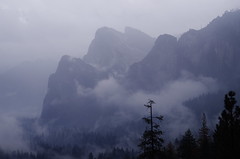Yosemite 2015 (1)