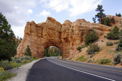 USA 2011 Red Canyon