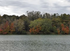 Silver Springs State Park 2015