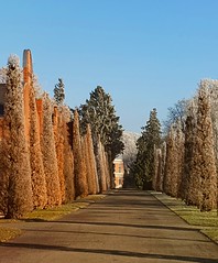 Winter in Potsdams Gärten