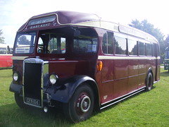 Vintage Buses
