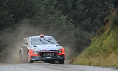 2016 Rally GB - Hafren 1