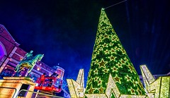 Coventry Christmas Light Switch on and Christmas Tree 2016
