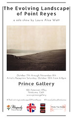 prints for An Evolving Landscape, at PrinceGallery, Oct-Nov 2015