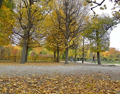 Autumn in Schönbrunn Palace 2015