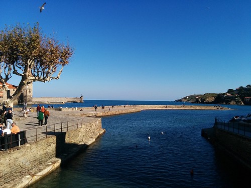 Harbour, Collioure