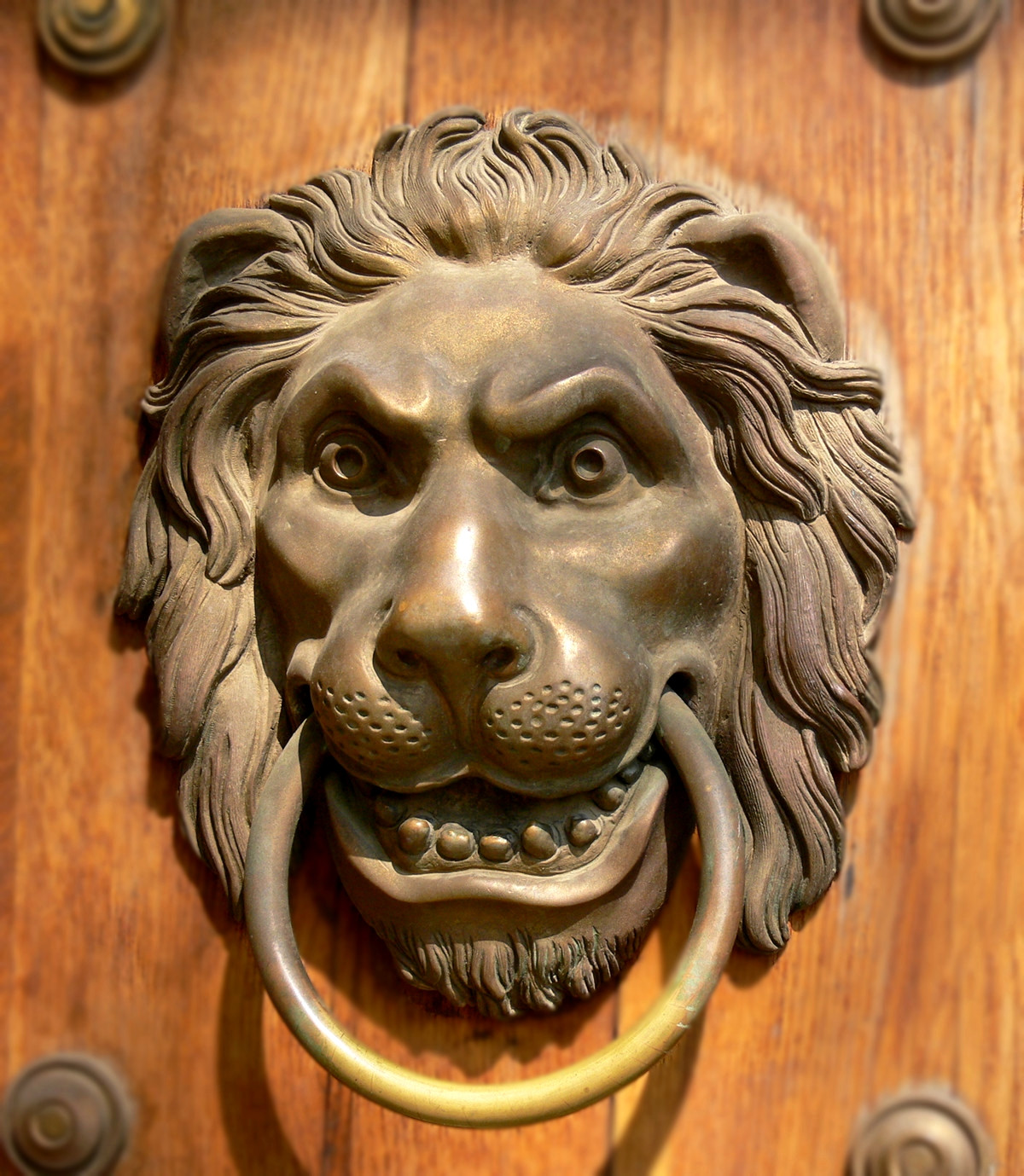 Lion door knocker at Lazienka Palace, Warsaw, Poland