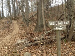 White Tail Trail 