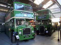 Isle of Wight Bus Museum