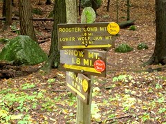 Rooster Comb Hike, 10/9/2015.