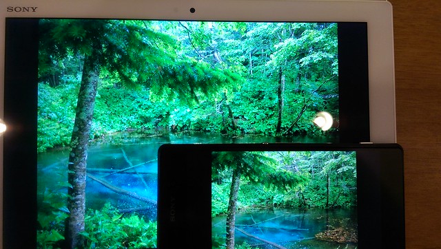 Xperia Z4 Tablet vs Xperia Z2 写真閲覧 (02)