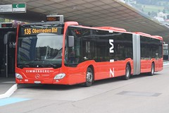 Switzerland - Road - Zimmerburg Bus