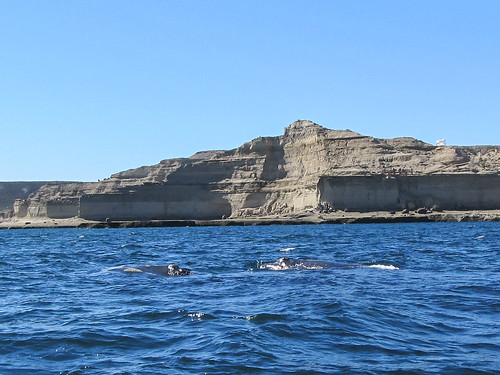 Puerto Piramídes: sa pyramide (d'où son nom) et ses baleines