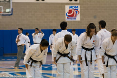 Lehman College Karate Tournament