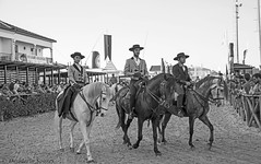 Horse Fair - Golegã - Portugal