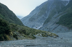 New Zealand - Glaciers - Franz Joseph & Fox