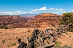 Canyonlnads/Dead Horse Point